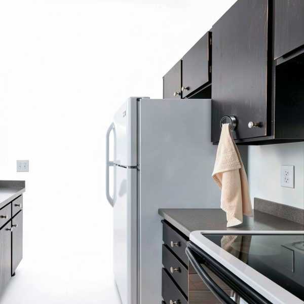 Kitchen Towel Hook SENLIXIN Self Adhesive Wall Mount Silver Round Hook-5